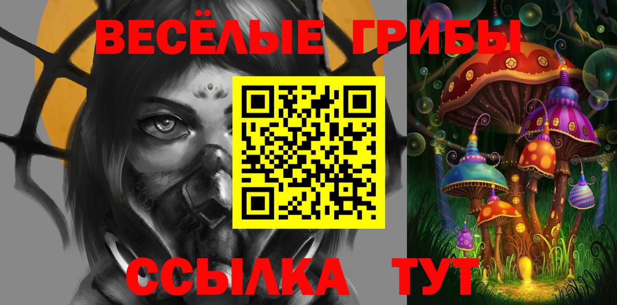 магазин продажи   Псилоцибиновые грибы GOLDEN TEACHER  Вход с VPN  Ейск 