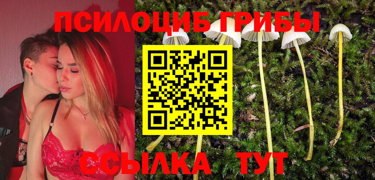 Галлюциногенные грибы мухоморы Ейск